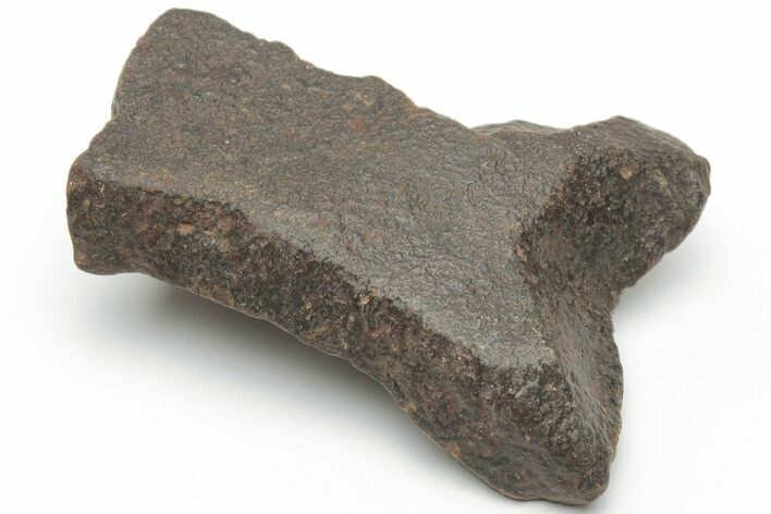 Chondrite Meteorite ( g) - Western Sahara Desert #223103